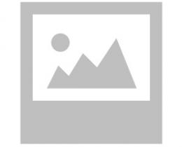 Un Guyanais neutralisé et grave blessé par balle par la police après une agression au couteau à Paris