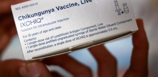 La vaccination pour anticiper une nouvelle épidémie de chikungunya en Guyane