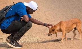 La SPA ouvre un dispensaire à Matoury avec un poste de vétérinaire à la clé