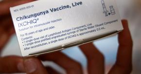 La vaccination pour anticiper une nouvelle épidémie de chikungunya en Guyane